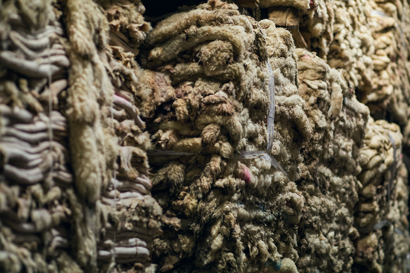 Images recollida i selecció 3